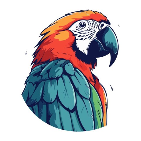 Colorful macaw parrot vector illustration isolated on white back