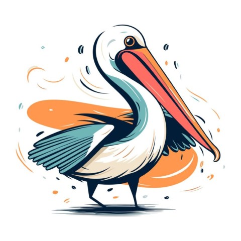 Pelican vector illustration. Isolated pelican on white backgroun