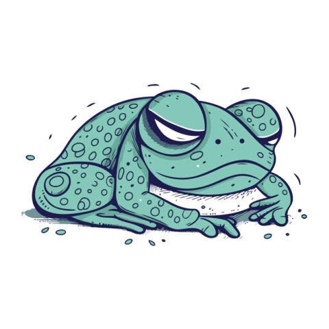 Frog. Hand drawn vector illustration. Isolated on white backgrou