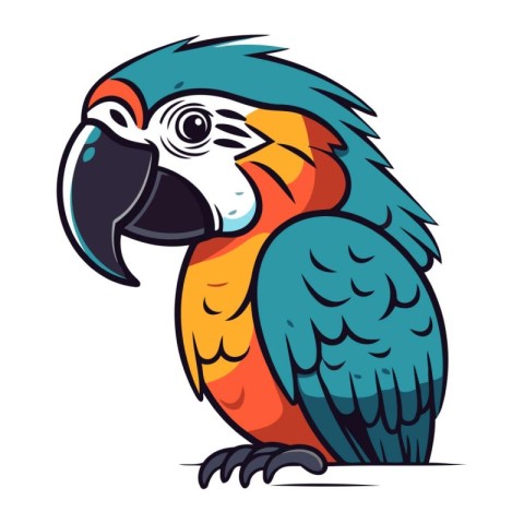 Parrot vector illustration. Isolated parrot on white background.