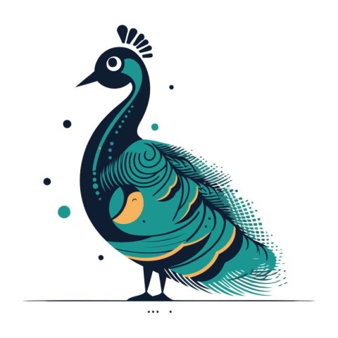 Peacock. Vector illustration. Isolated on white background.