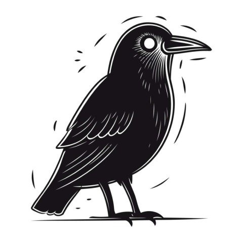 Crow. Vector illustration of a black raven on a white background