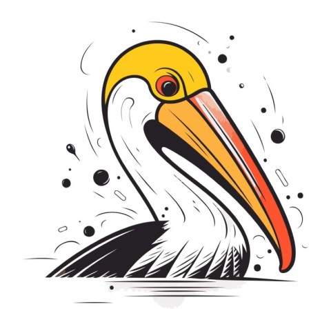 Pelican. Vector illustration. Isolated on white background.