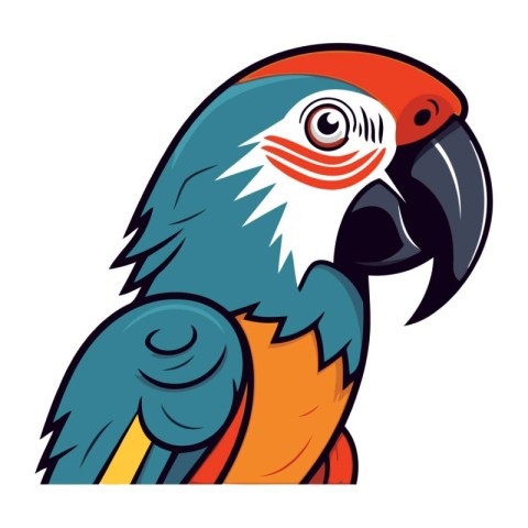 Colorful parrot isolated on a white background. Vector illustrat