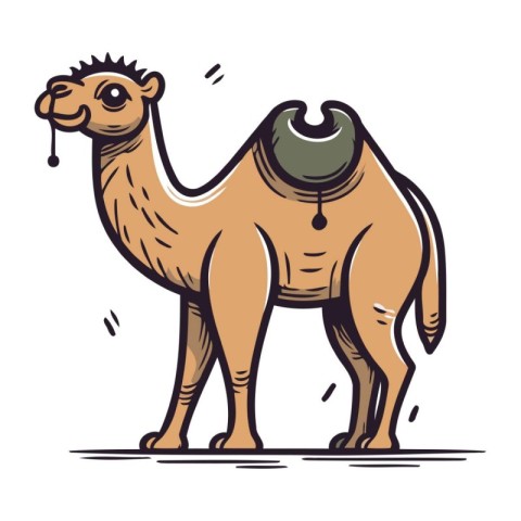 Camel. Vector illustration of a camel on a white background.