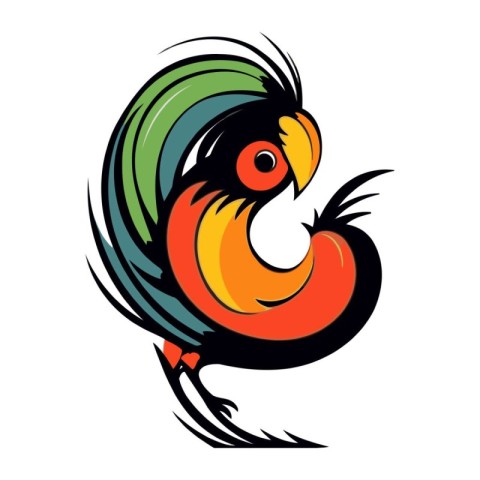 Colorful rooster isolated on a white background. Vector illustra