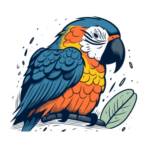 Parrot. Colorful vector illustration in cartoon style. Isolated