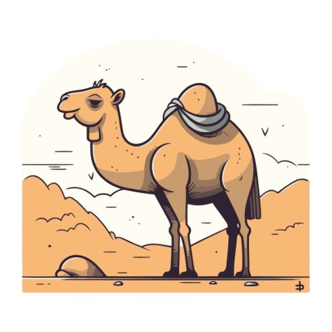 Camel in the desert. Vector illustration on white background. Ca