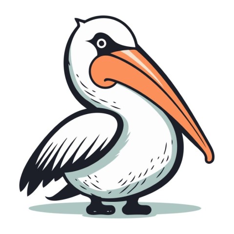 Pelican isolated on white background. Vector illustration in car