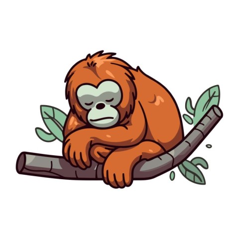 Orangutan sitting on a branch. Vector illustration isolated on w