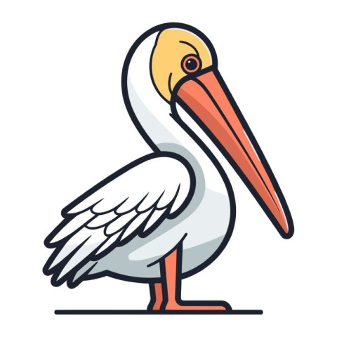 Pelican vector illustration isolated on white background. Cartoo