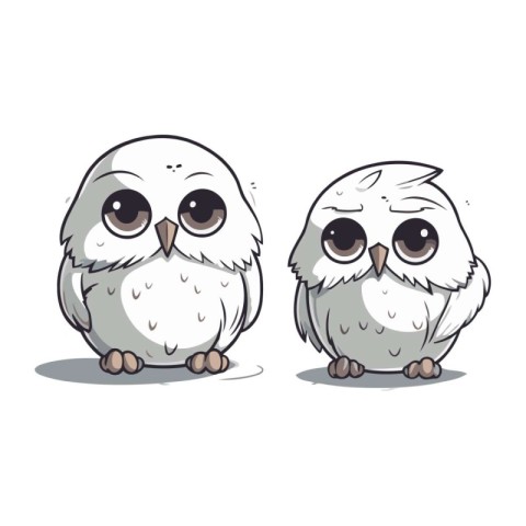 Two cute owl isolated on white background. Vector illustration.