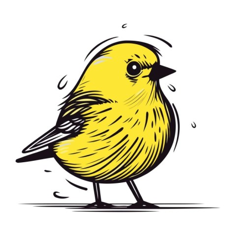 Vector hand drawn illustration of yellow bird. Isolated on white