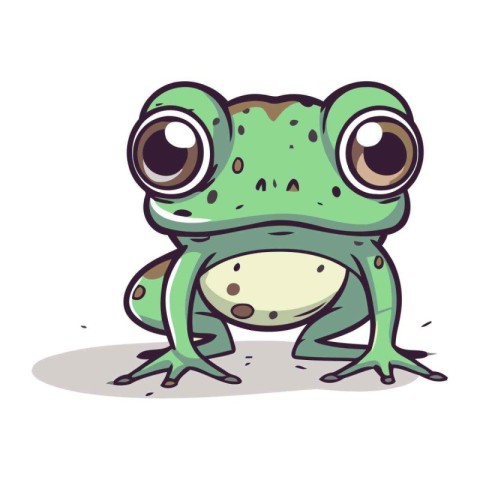 Cute cartoon frog. Vector illustration isolated on a white backg