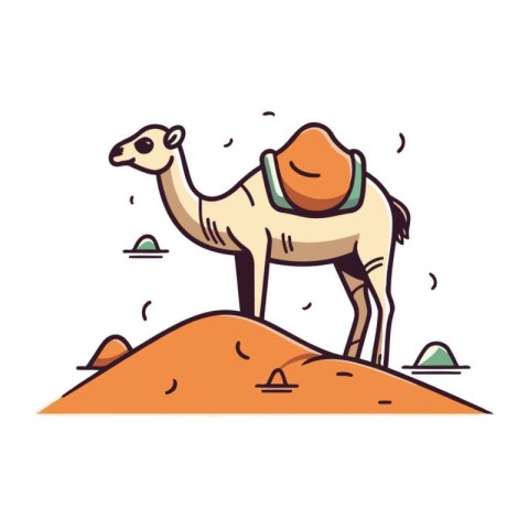 Camel in desert. Vector illustration in flat cartoon style on wh