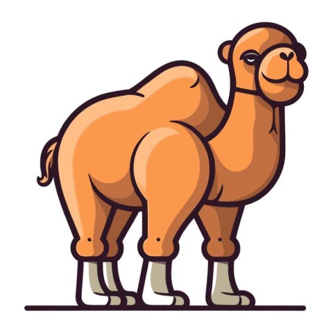 Camel. Vector illustration of a camel on a white background.