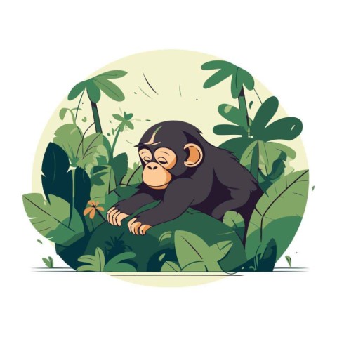 Vector illustration of monkey in the jungle. Flat style design.