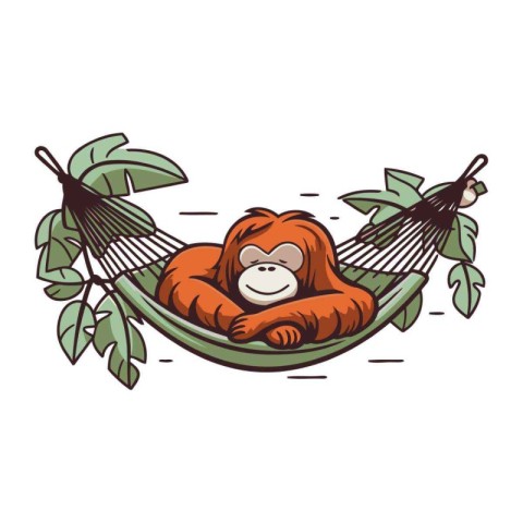 Orangutan in a hammock. Vector illustration isolated on white ba