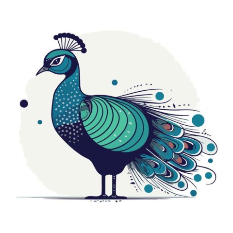 Peacock. Vector illustration. Isolated on white background.