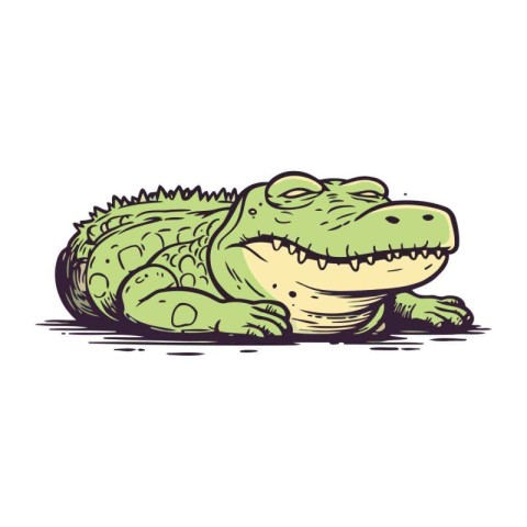 Crocodile. Hand drawn vector illustration. Isolated on white bac