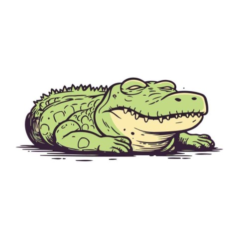 Crocodile. Hand drawn vector illustration. Isolated on white bac
