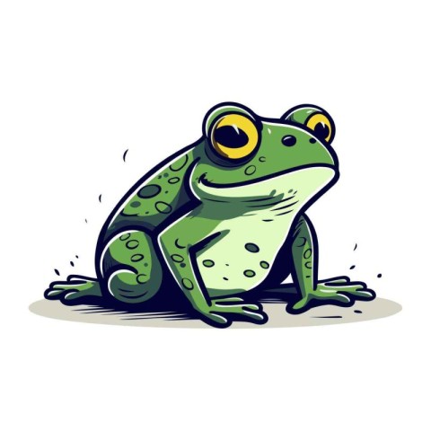 Frog. Vector illustration. Isolated on a white background.