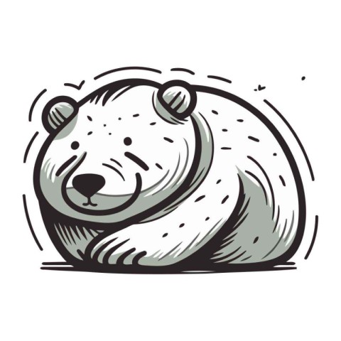 Polar bear isolated on white background. Vector hand drawn illus