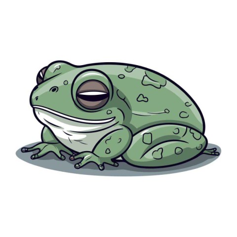 Frog cartoon isolated on white background. Vector illustration o