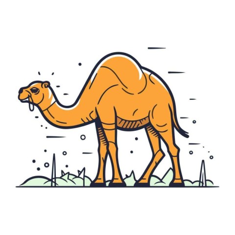 Camel vector illustration in flat design style. Vector illustrat