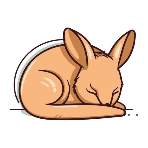 Cute kangaroo sleeping isolated on white background. Vector illu