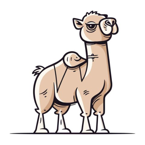 Camel vector illustration. Cute cartoon camel. Vector illustrati