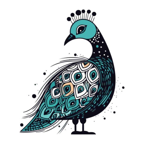 Peacock. Hand drawn vector illustration. Isolated on white backg