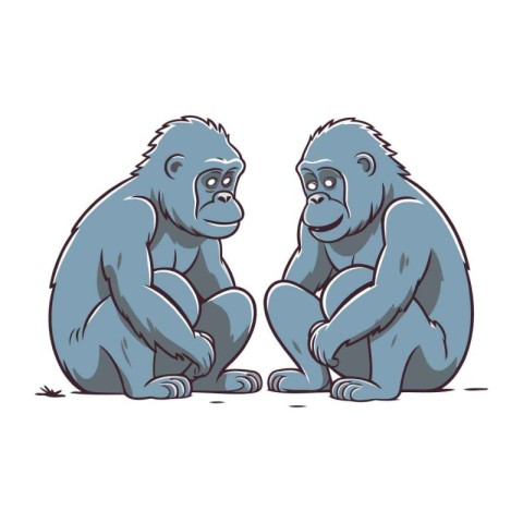 Vector illustration of two gorilla. Isolated on a white backgrou