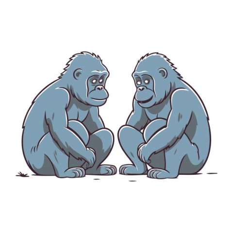 Vector illustration of two gorilla. Isolated on a white backgrou