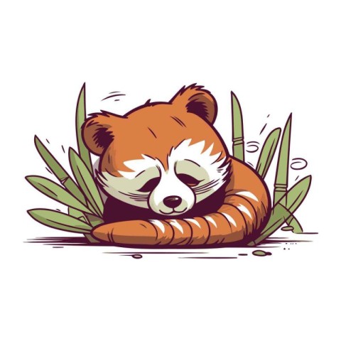 Vector illustration of cute red panda isolated on white backgrou