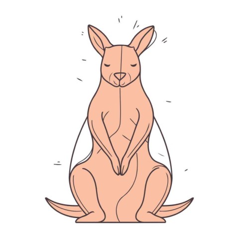 Kangaroo sitting on white background. Vector illustration in car