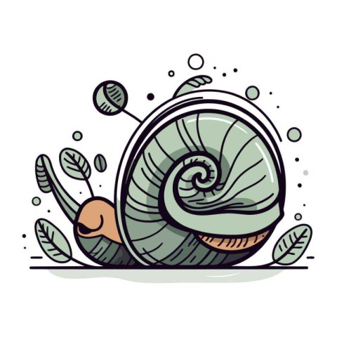 Vector illustration of a snail on a white background with green