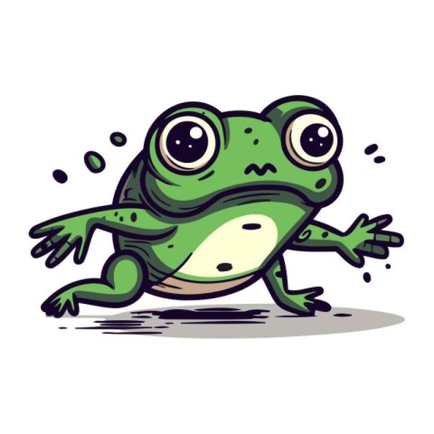 Frog. Vector illustration. Isolated on a white background.