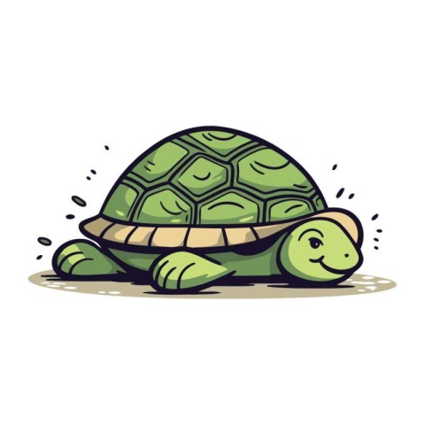 Cartoon turtle. Vector illustration. Isolated on white backgroun