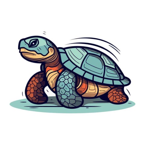 Cartoon turtle isolated on white background. Vector illustration