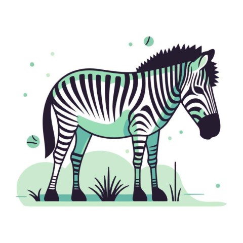 Zebra. Vector illustration in flat style. Isolated on white back