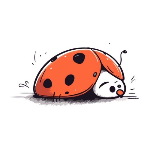 Ladybug vector illustration. Hand drawn cute ladybug isolated on