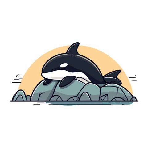 Cartoon killer whale on the rock. Vector illustration in flat st