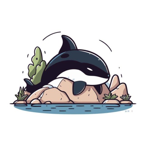 Cartoon killer whale on the rock. Vector illustration in cartoon