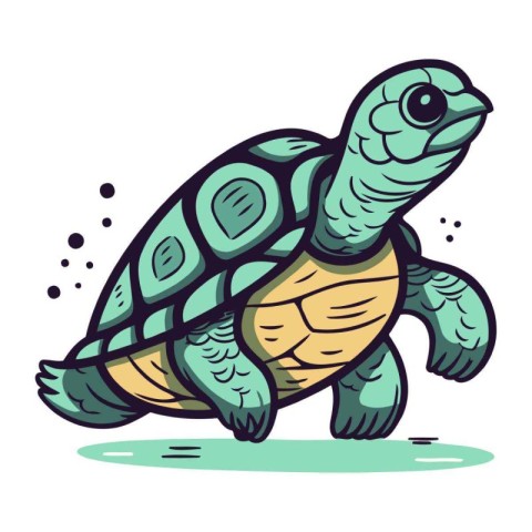 Cartoon turtle on a white background. Vector illustration of a t