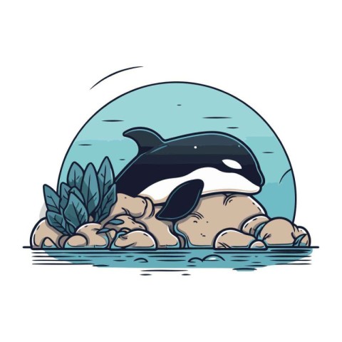 Vector illustration of a cute cartoon killer whale on the rock i