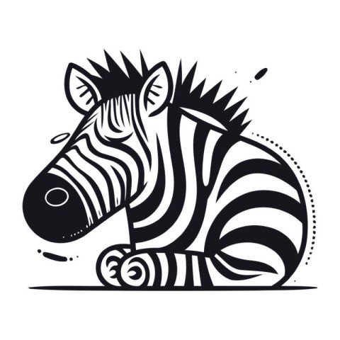 Zebra isolated on white background. Vector illustration. Eps 10.