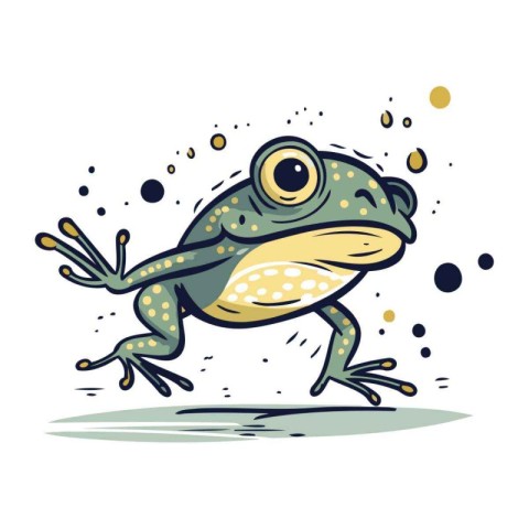 Frog. Hand drawn vector illustration. Isolated on white backgrou