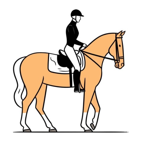 Horse and rider. equestrian sport. vector illustration.