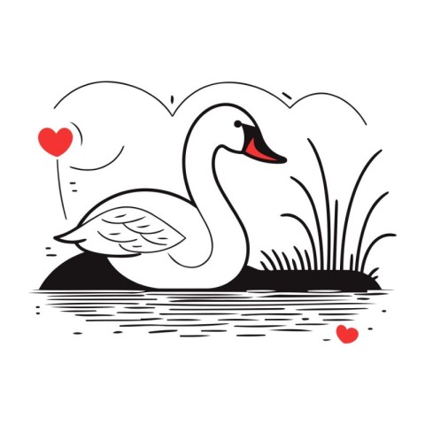 Vector illustration of a swan on a lake with a heart.